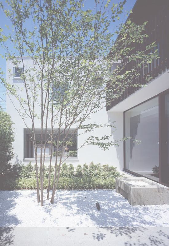 スキマのある家中庭